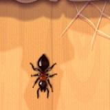 ??p ki?n - Ant Smash