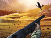 Hình ảnh game Duck Hunter