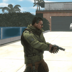 Hình ảnh game Lone Wolf Strike